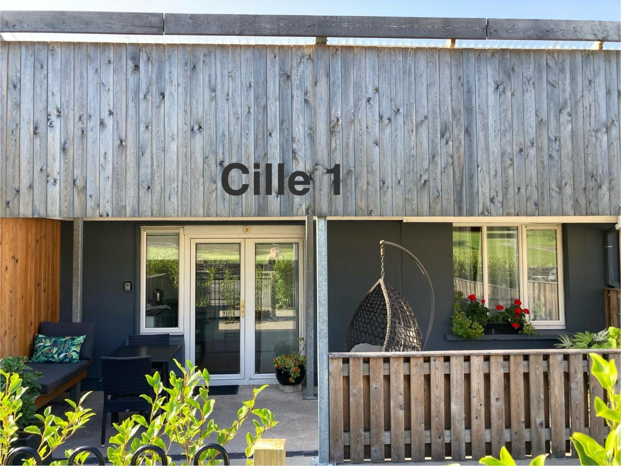 Cille Apartments, Ballyferriter Village Esterno foto